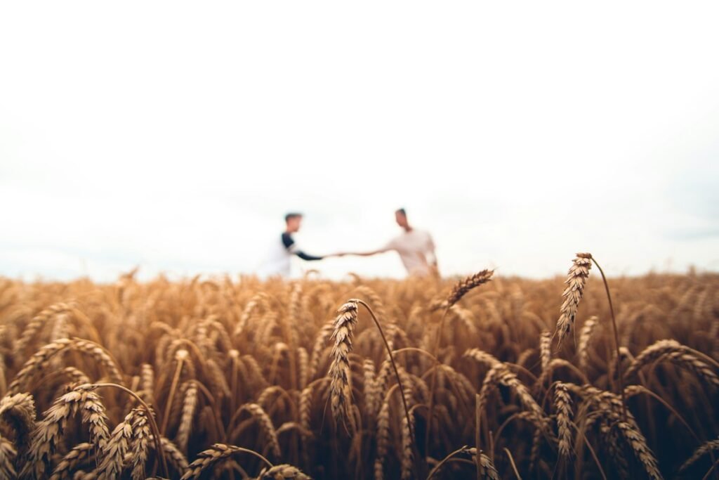 Zhvillimi i Agroturizmit dhe Bujqësisë Organike në Rrafshin e Dukagjinit Fusha pjellore dhe pemishte në Dukagjin